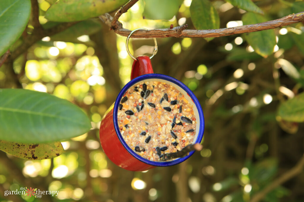 hanging mug suet feeder