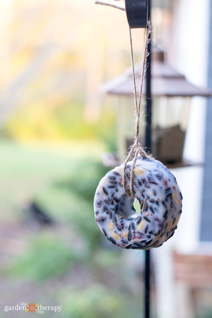 donut suet feeder