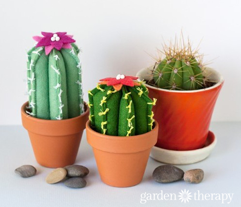 DIY Cactus from Felt