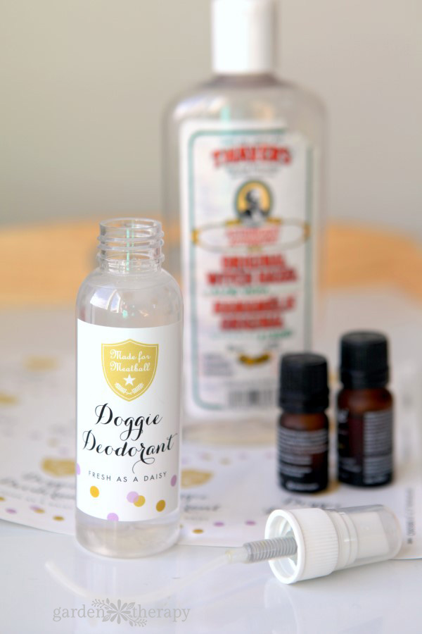 natural dog deodorizer homemade