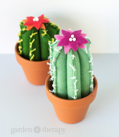 2 potted felt cactus plants