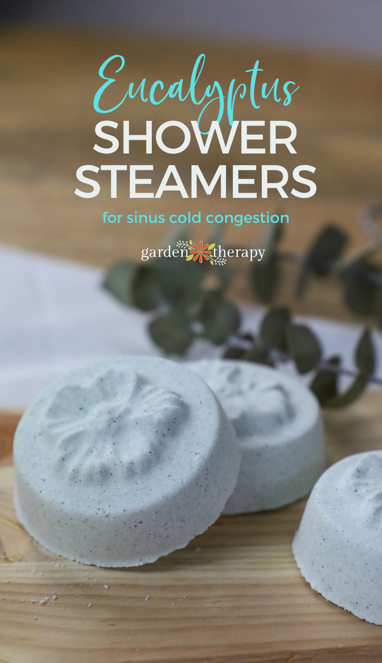 how to make eucalyptus shower steamers