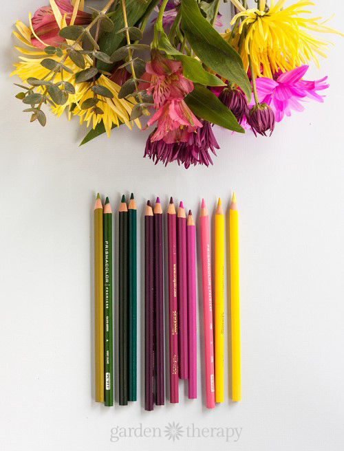 Color Like a Designer: How to Choose a Color Palette for Adult Coloring  Books - Garden Therapy