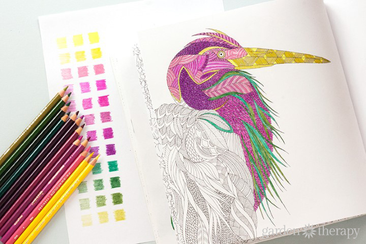 Color Like a Designer: How to Choose a Color Palette for Adult Coloring  Books - Garden Therapy