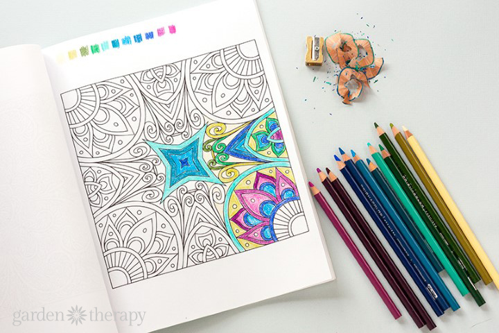 Adult Coloring Books & What I Use to Color 