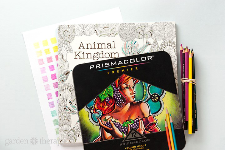 Color Like A Designer How To Choose A Color Palette For Adult Coloring Books Garden Therapy