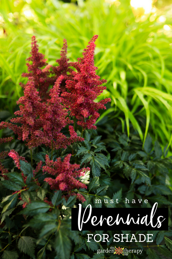 must-have perennials for shade