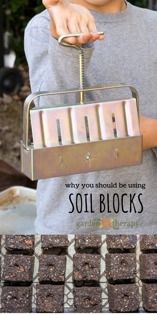 These Easy & Economical Soil Blocks Will Change How You Garden