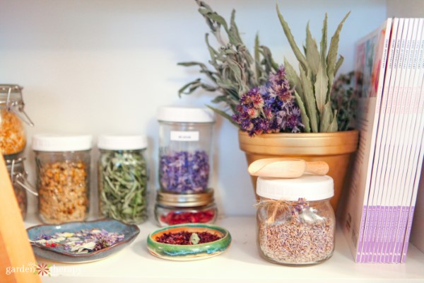 Home apothecary shelf stocked with dried botanicals