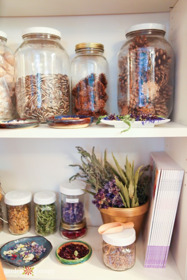 apothecary shelves stocked with dried flowers, herbs, and more