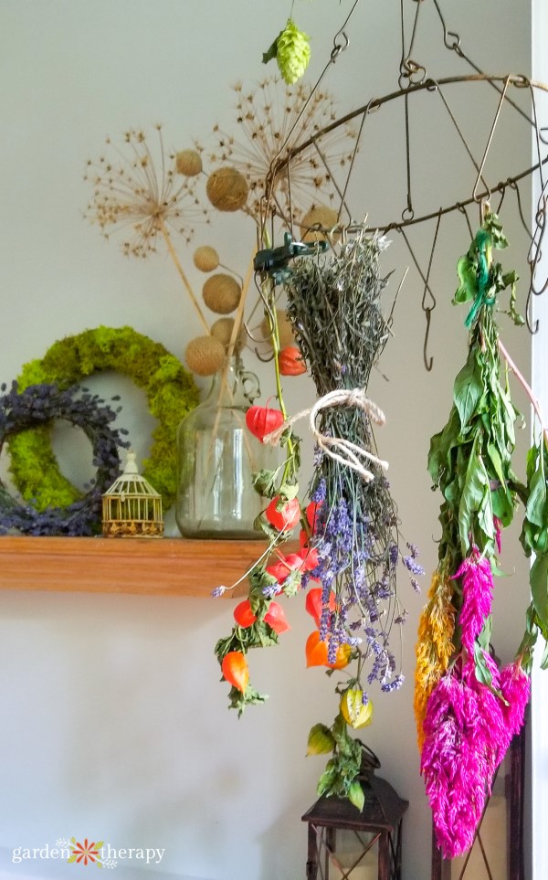 flowers drying on a rack