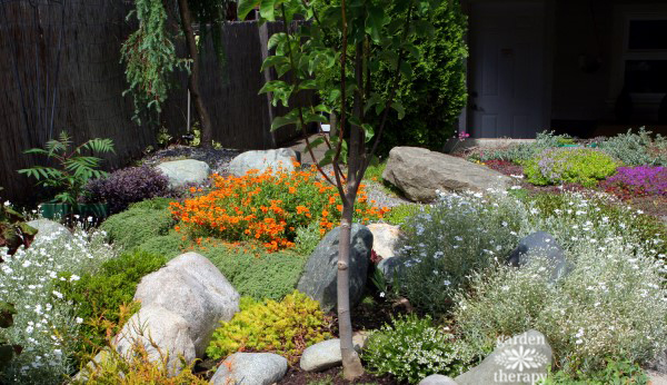 Carpet gardening with colorful groundcovers