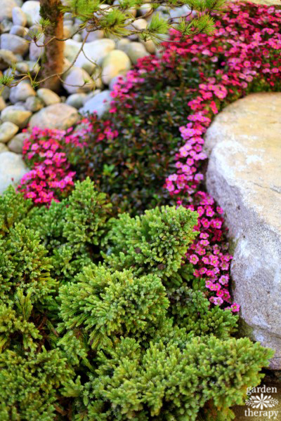 Creating garden interest with large boulders and low-growing plants