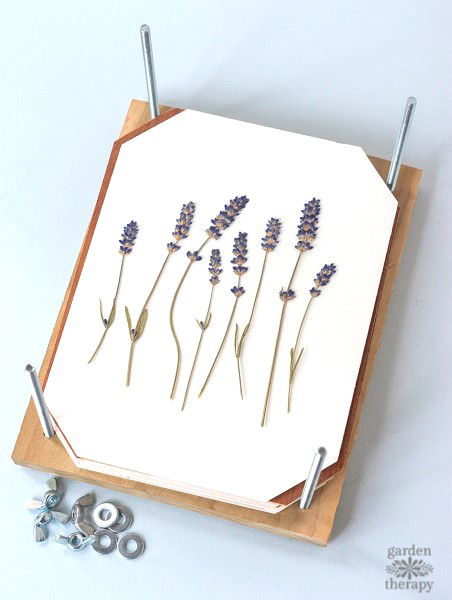 How To Press Flowers + Make a DIY Flower Press