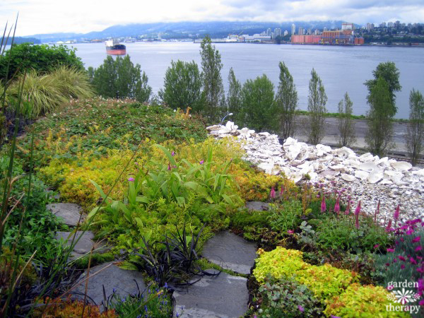 Oceanview drought-tolerant green roof