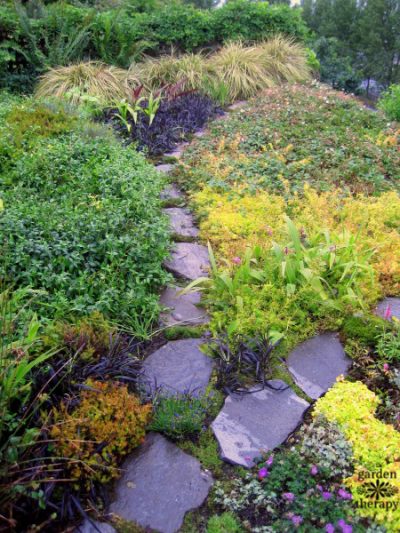 Carpet Gardening: Weaving Groundcovers into Low-Growing Art - Garden ...