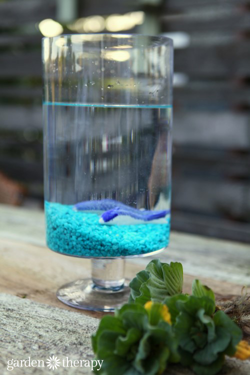 building an indoor water garden