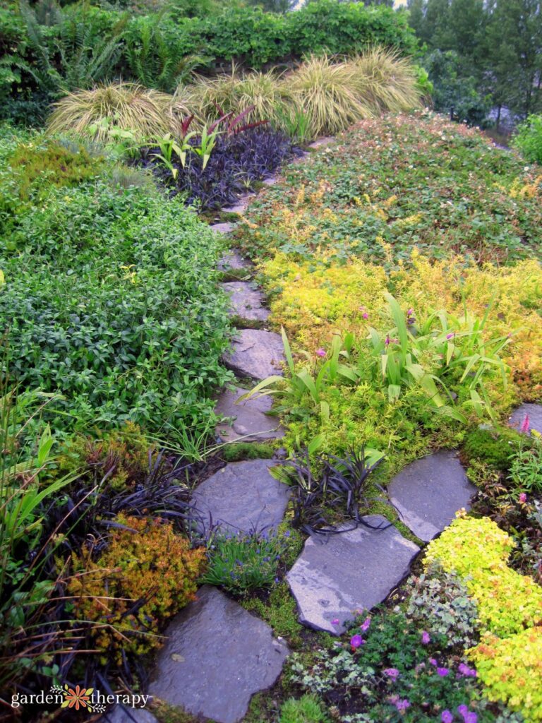 carpet gardening ground cover plants