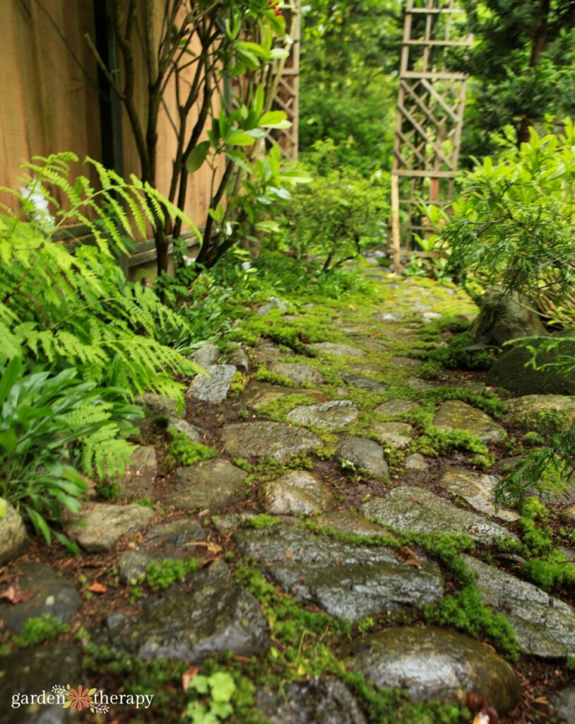 ground cover stone path