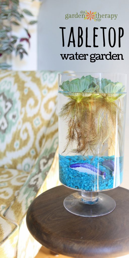 how to make an indoor tabletop water garden