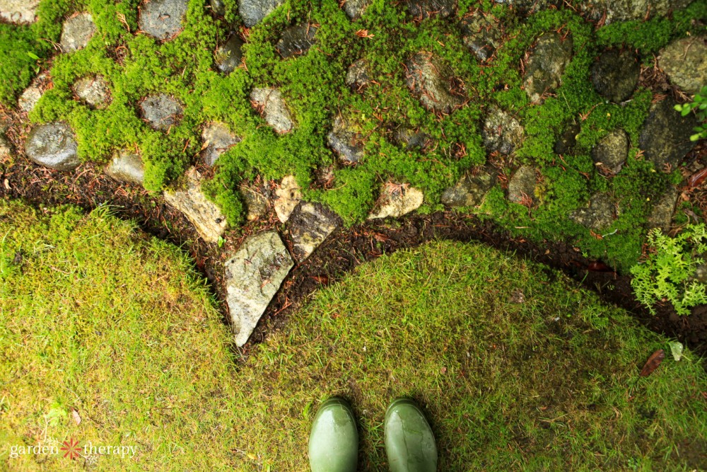 moss garden bed edging