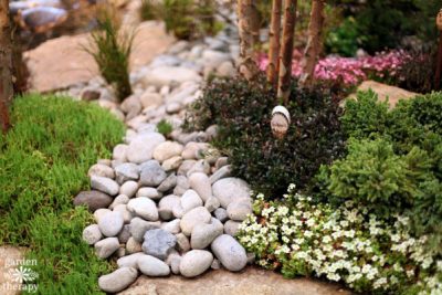 Carpet Gardening: Weaving Groundcovers into Low-Growing Art - Garden ...