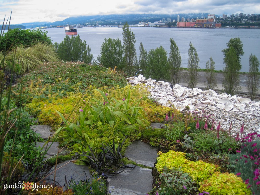 roof ground covers
