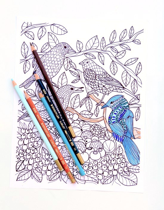 Tips for coloring like a grown up!