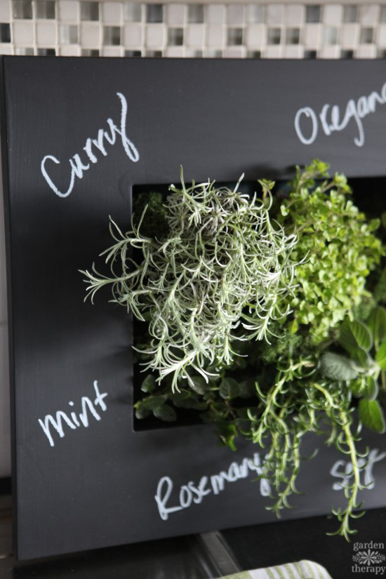 Chalkboard Frame Indoor Herb Garden