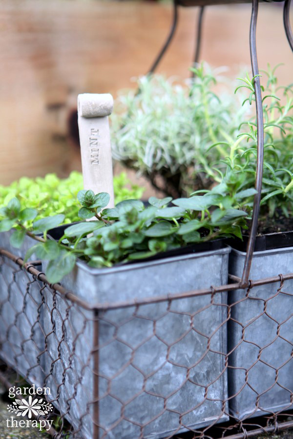 Clay Plant Stakes for Herbs - Mint