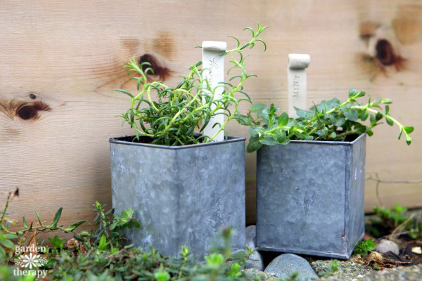 Clay Plant Stakes for Herbs - Rosemary and Mint