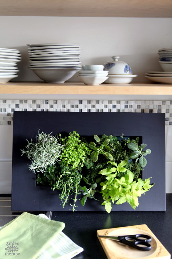 Finished Indoor Herb Garden