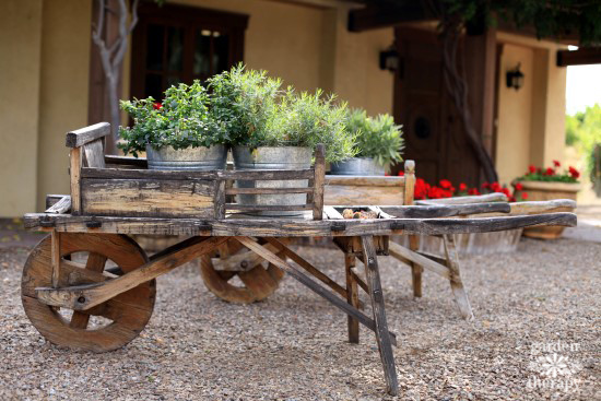 Herbs Growing Outdoors in a Wooden Wagon