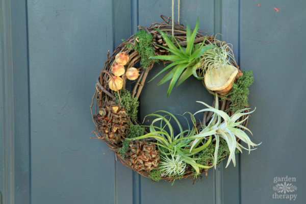 air plant wreath