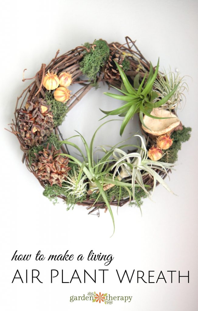 This Lush Living Air Plant Wreath Has a Secret Garden Therapy