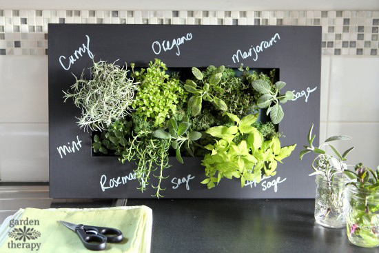 Indoor Herb Garden with chalk labels