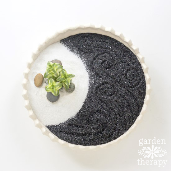 Succulent Zen Garden Step (6)