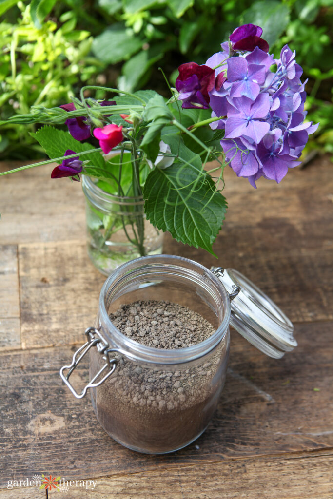 soil pH test for changing color of hydrangea