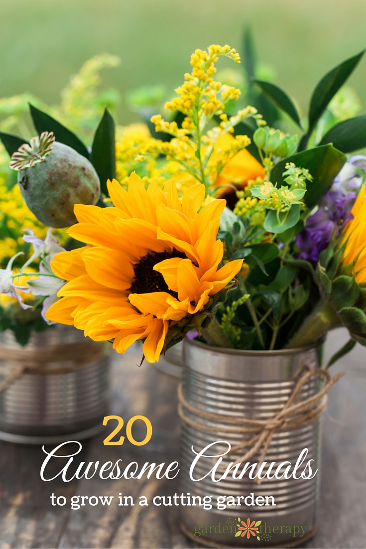 How To Grow A Cutting Garden