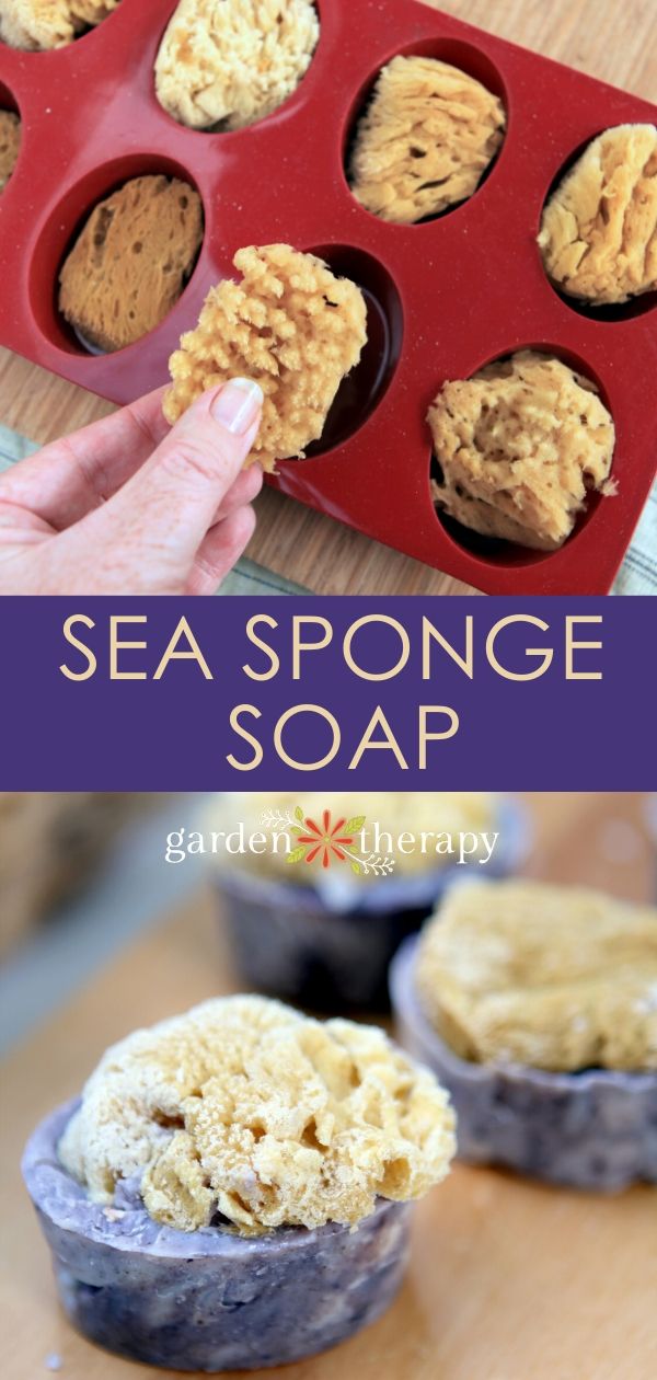 Handmade Sea Sponge Soap Bars