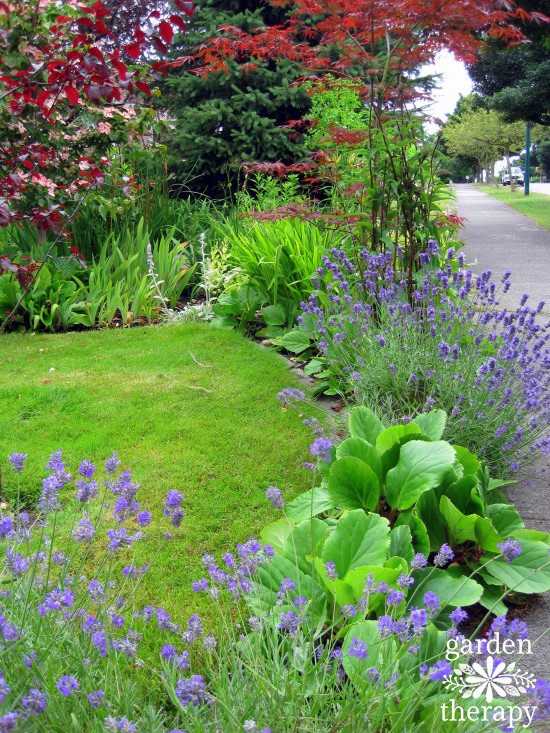 circle garden design in front yard