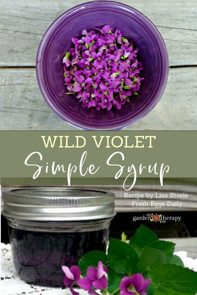 Wild Violet Simple Syrup Recipe