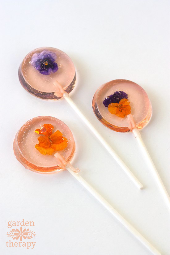 edible flower lollipops with violas and pansies inside