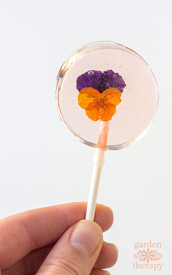 Viola flowers inside a lollipop