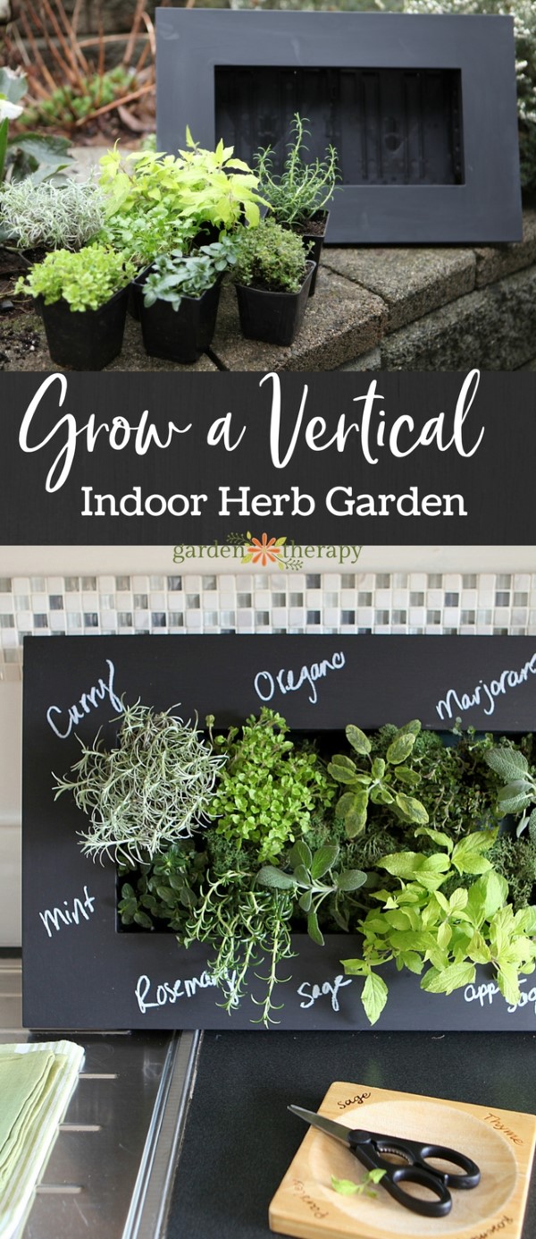 indoor wall herb garden