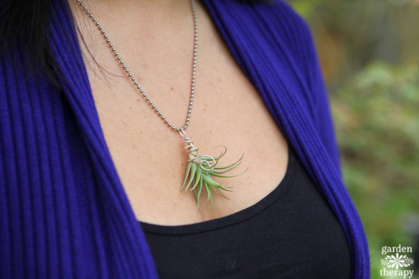 Air Plant Necklace Garden Therapy