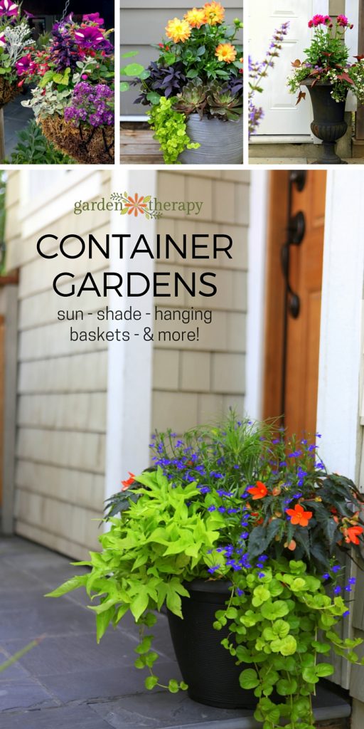 Decorative Ideas for Creating a Summer Container Garden Garden Therapy