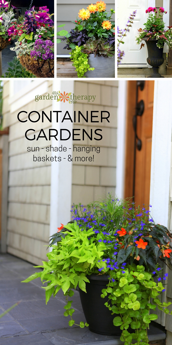 Container garden inspiration gallery for sun, shade, hanging baskets, and more