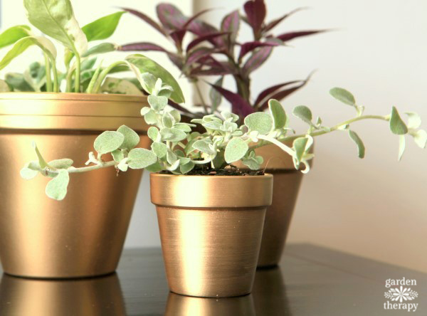 Gold Painted pot with brushed texture