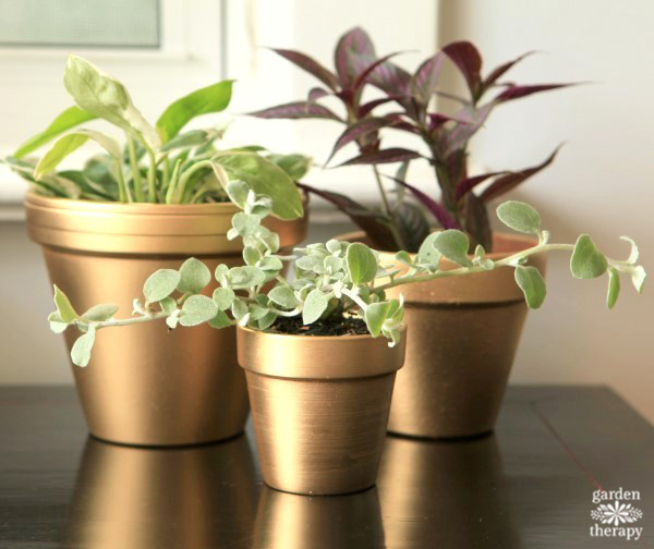 Gold painted terracotta pot experiments